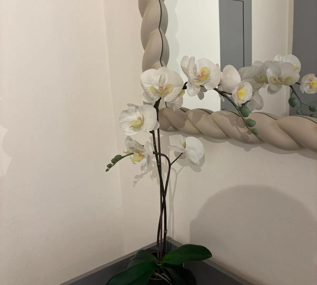 Residenza Ariosto Depandance By Studio Vita 볼로냐 아파트